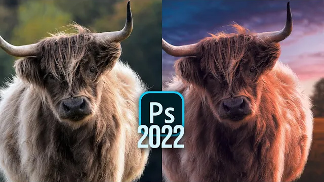 A szarvasmarha-harmonizáció akció Photoshopban